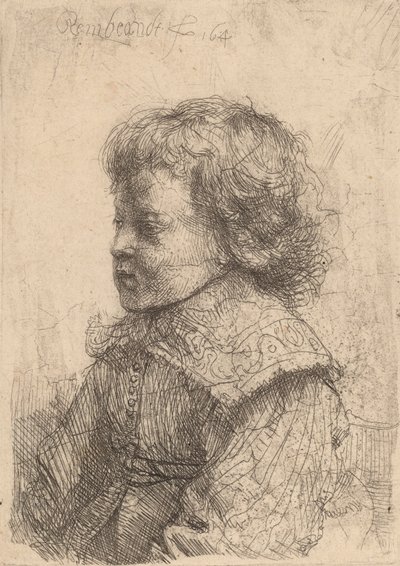 Portret van een jongen in profiel, 1641 door Rembrandt van Rijn