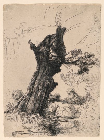 Sint Hiëronymus naast een knotwilg door Rembrandt van Rijn