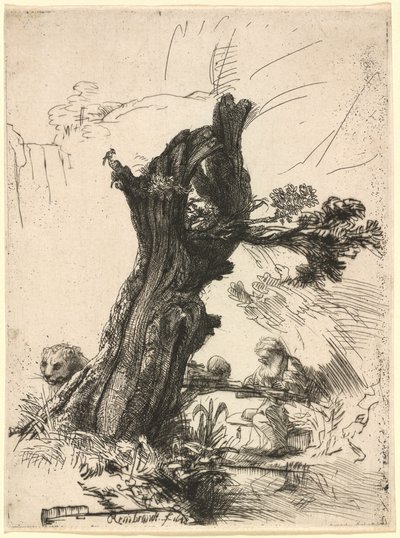 Sint Hiëronymus naast een knotwilg door Rembrandt van Rijn