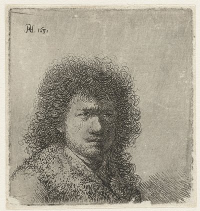 Zelfportret met wild haar: buste door Rembrandt van Rijn