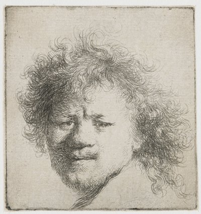 Zelfportret met lang, wild haar: alleen hoofd door Rembrandt van Rijn