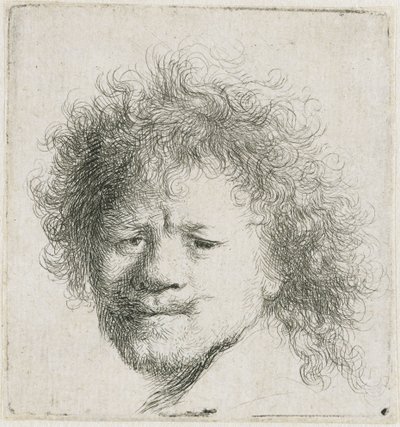 Zelfportret met lang, weelderig haar: alleen het hoofd door Rembrandt van Rijn