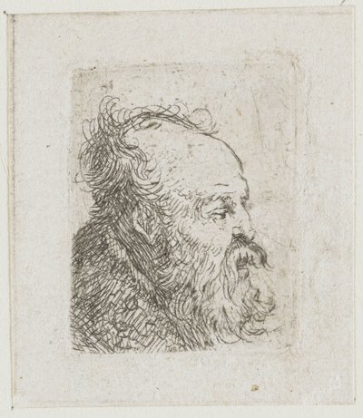 Blad met schetsen van mannenhoofden: oude, bebaarde man, bijna in profiel naar rechts: mond half open door Rembrandt van Rijn