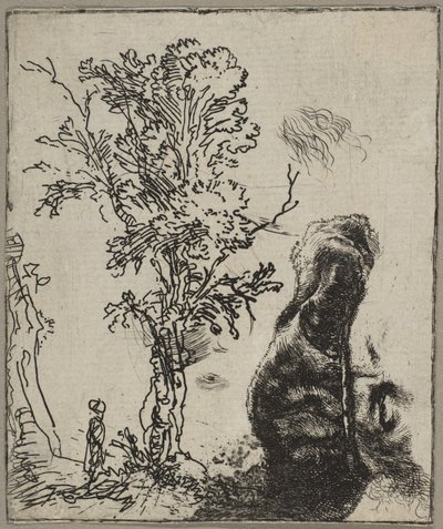 Blad met twee studies: een boom en het bovenste deel van een hoofd van Rembrandt met een vel..., ca. 1642 door Rembrandt van Rijn