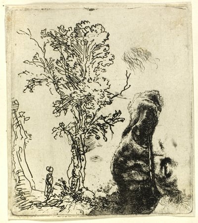 Blad met Twee Studies: Een Boom, en het Bovenste Deel van het Hoofd van de Kunstenaar met een Fluwelen Muts door Rembrandt van Rijn
