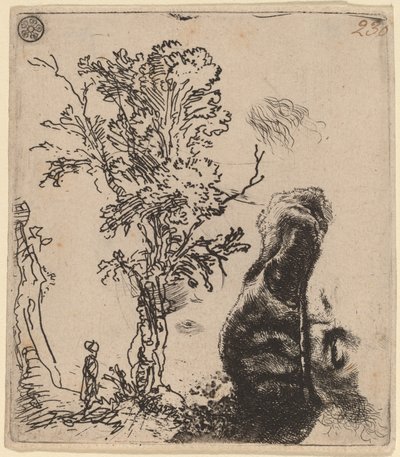 Blad met twee studies: een boom en het bovenste deel van een hoofd van de kunstenaar met een fluwelen muts door Rembrandt van Rijn