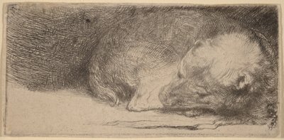  door Rembrandt van Rijn