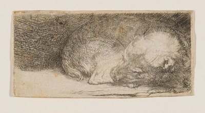 Slapende puppy door Rembrandt van Rijn