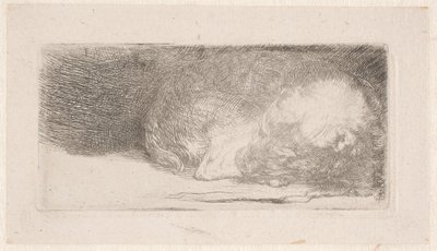 Slapende puppy door Rembrandt van Rijn