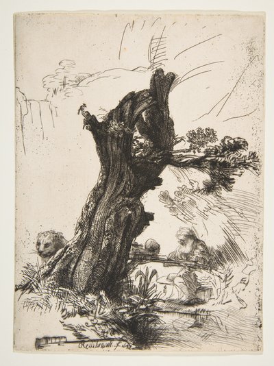 Sint Hiëronymus naast een geknotte wilg, 1648 door Rembrandt van Rijn