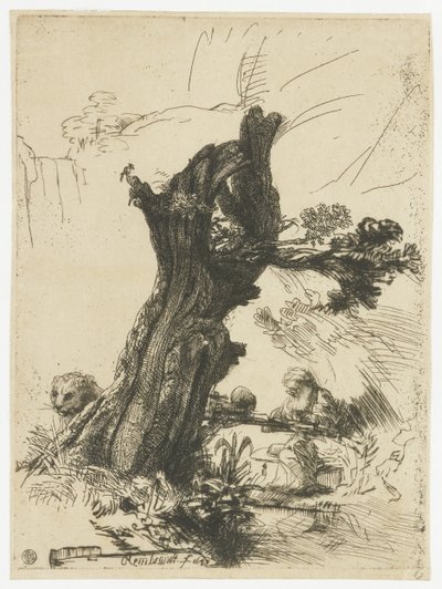Sint Hiëronymus naast een geknotte wilg door Rembrandt van Rijn