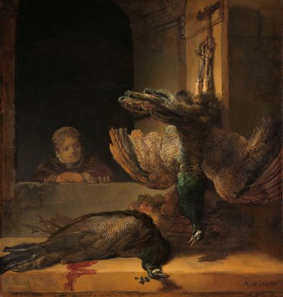 Stilleven met pauwen door Rembrandt van Rijn