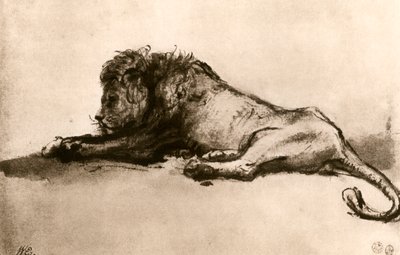 Studie van een leeuw, 1913 door Rembrandt van Rijn
