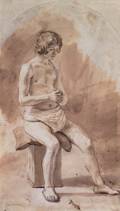 Studie van een naakte jongeling door Rembrandt van Rijn