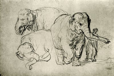 Studie van olifanten door Rembrandt van Rijn