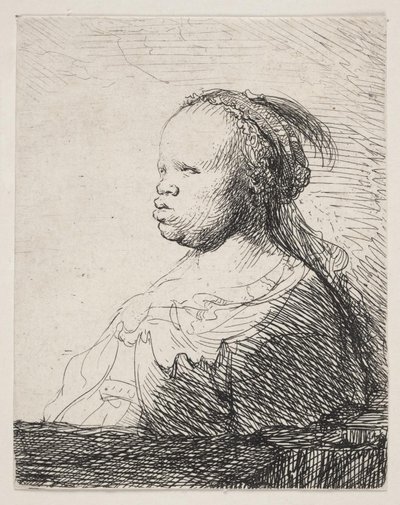 Het Witte Zwart door Rembrandt van Rijn
