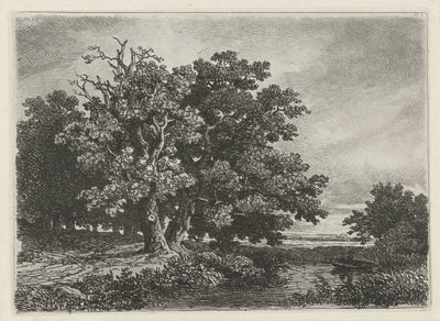 Bomen aan een plas met een bootje door Remigius Adrianus Haanen