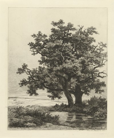 Twee eiken aan een meertje door Remigius Adrianus Haanen