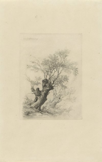 Wilgenboom door Remigius Adrianus Haanen