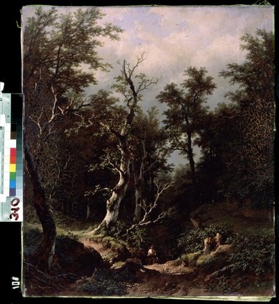 Boslandschap door Remigius van Haanen