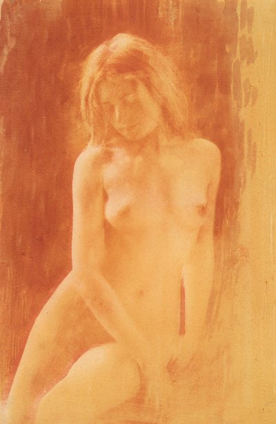 [Studie in oranje], 1904 door René Le Bègue