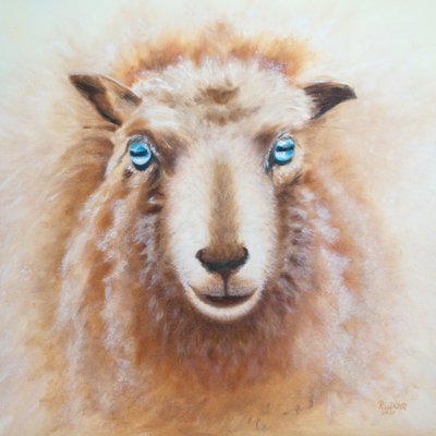 Schaap door Renate Dohr