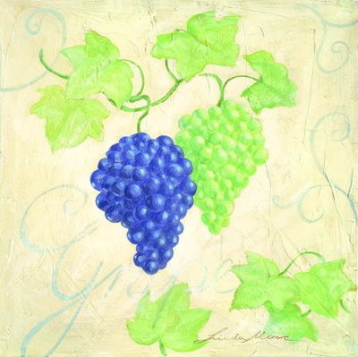 Verse blauwgroene druiven door Renate Holzner