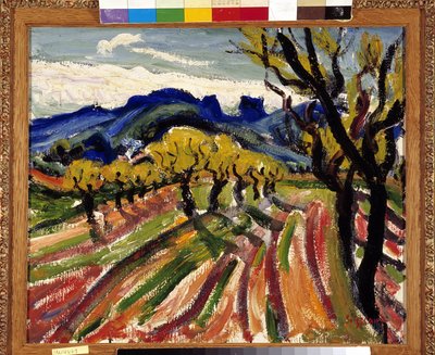 Veld met olijfbomen in de Alpilles door Rene Auguste Seyssaud