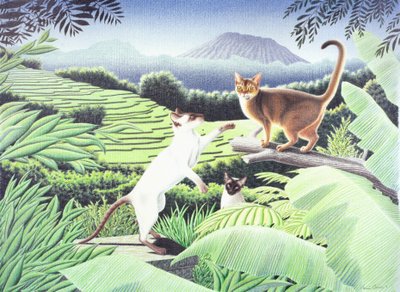 Bali door Rene Boin