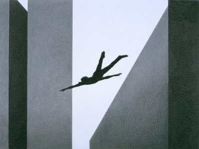 Vliegen door Rene Boin