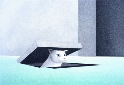 Luik door Rene Boin