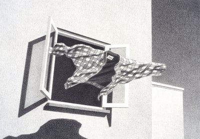 Uit de lucht springen door Rene Boin