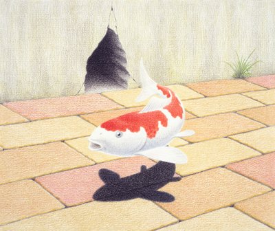 Koi door Rene Boin
