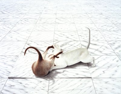Spelen door Rene Boin