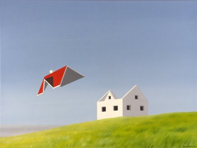 Dak door Rene Boin