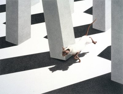 Rennen door Rene Boin