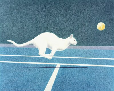 Tennis door Rene Boin