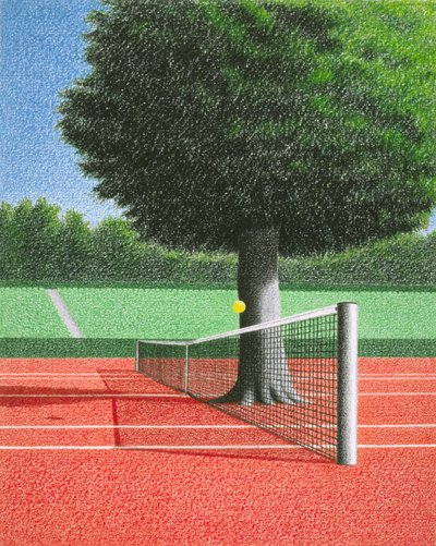 Tennisboom door Rene Boin