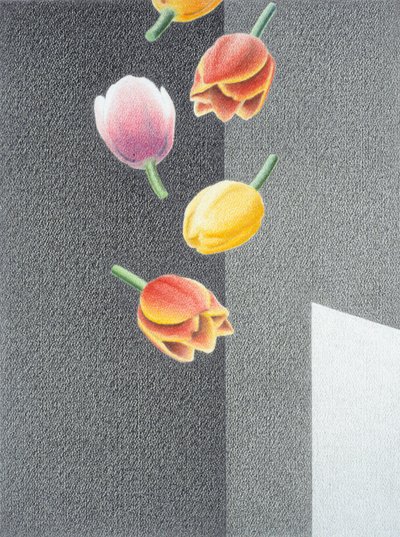 Tulpen door Rene Boin