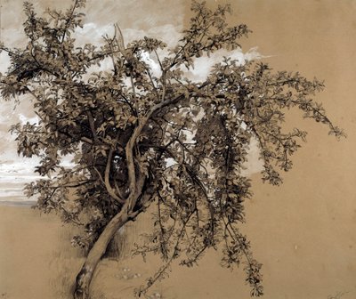 De houtskoolappelboom door Rene Ernest Huet