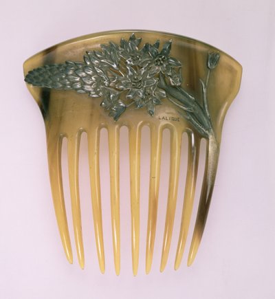 Hoornkam, door Rene Jules Lalique, Parijs door Rene Jules Lalique