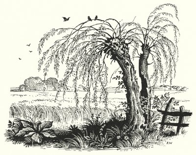 Hans Christian Andersen: De Boekweit door Rex (after) Whistler