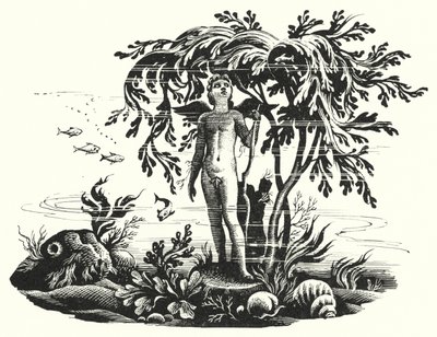 Hans Christian Andersen: De Kleine Zeemeermin door Rex (after) Whistler