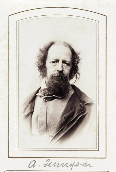 Een Tennyson, ca. 1864 door John Pardon