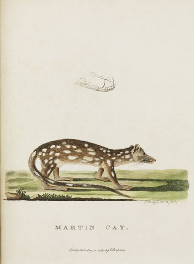 Martin Kat, Australië, ca. 1788 door John Pardon
