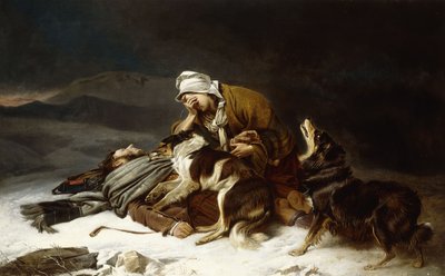 Verdwaald in de storm door Richard Ansdell