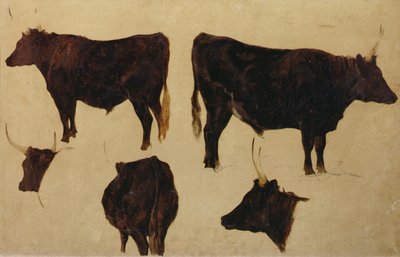 Studies van Langhoornig Vee door Richard Ansdell