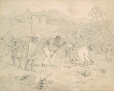 Het planten van suikerriet (Trinidad) door Richard Bridgens