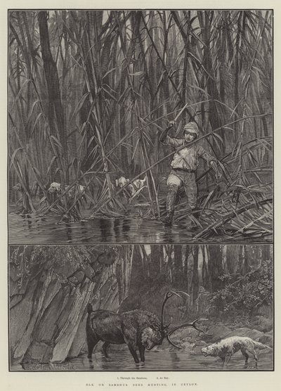 Elk of Sambhur Hert Jacht, in Ceylon door Richard Caton Woodville junior