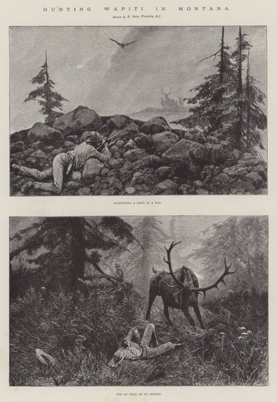Jagen op Wapiti in Montana door Richard Caton Woodville junior